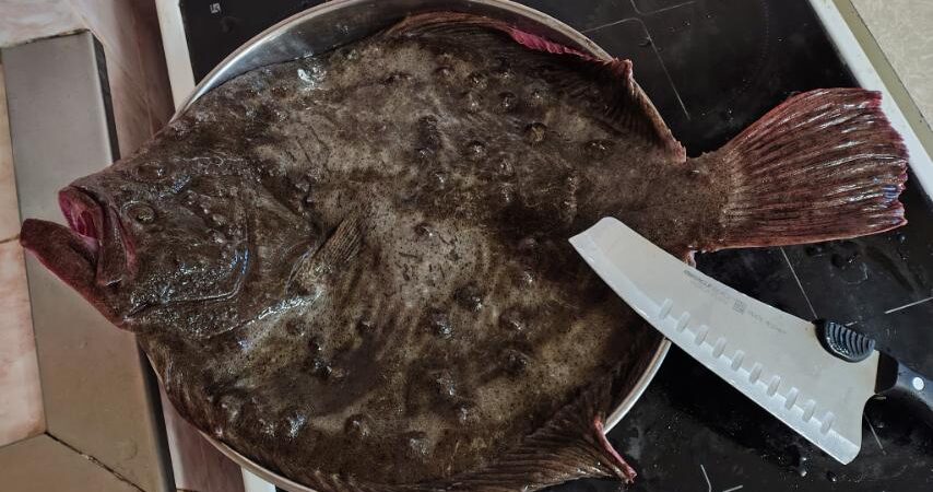 За рибата и данъците